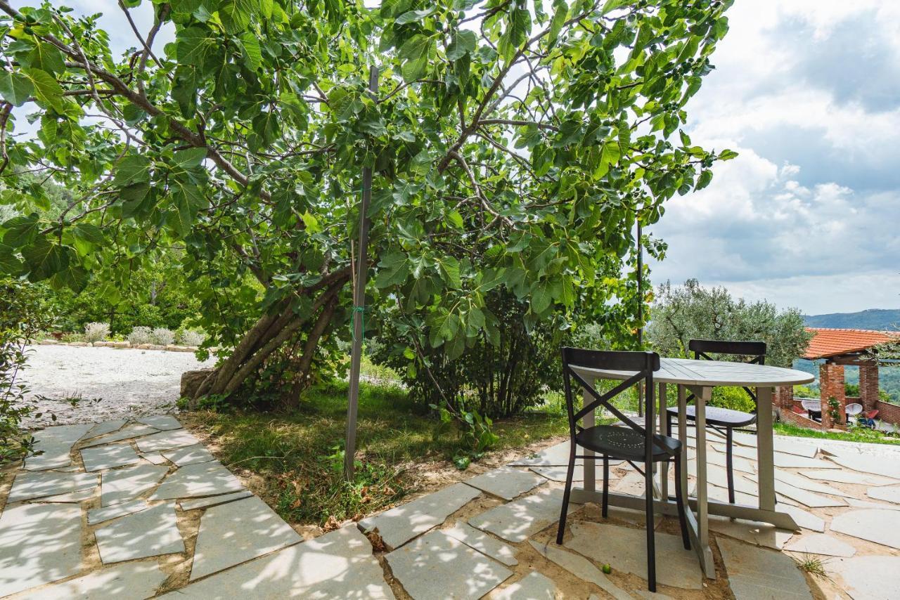 Agriturismo Le Fonti Понтассьеве Экстерьер фото
